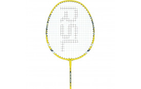 RSL Pro 450 Mini